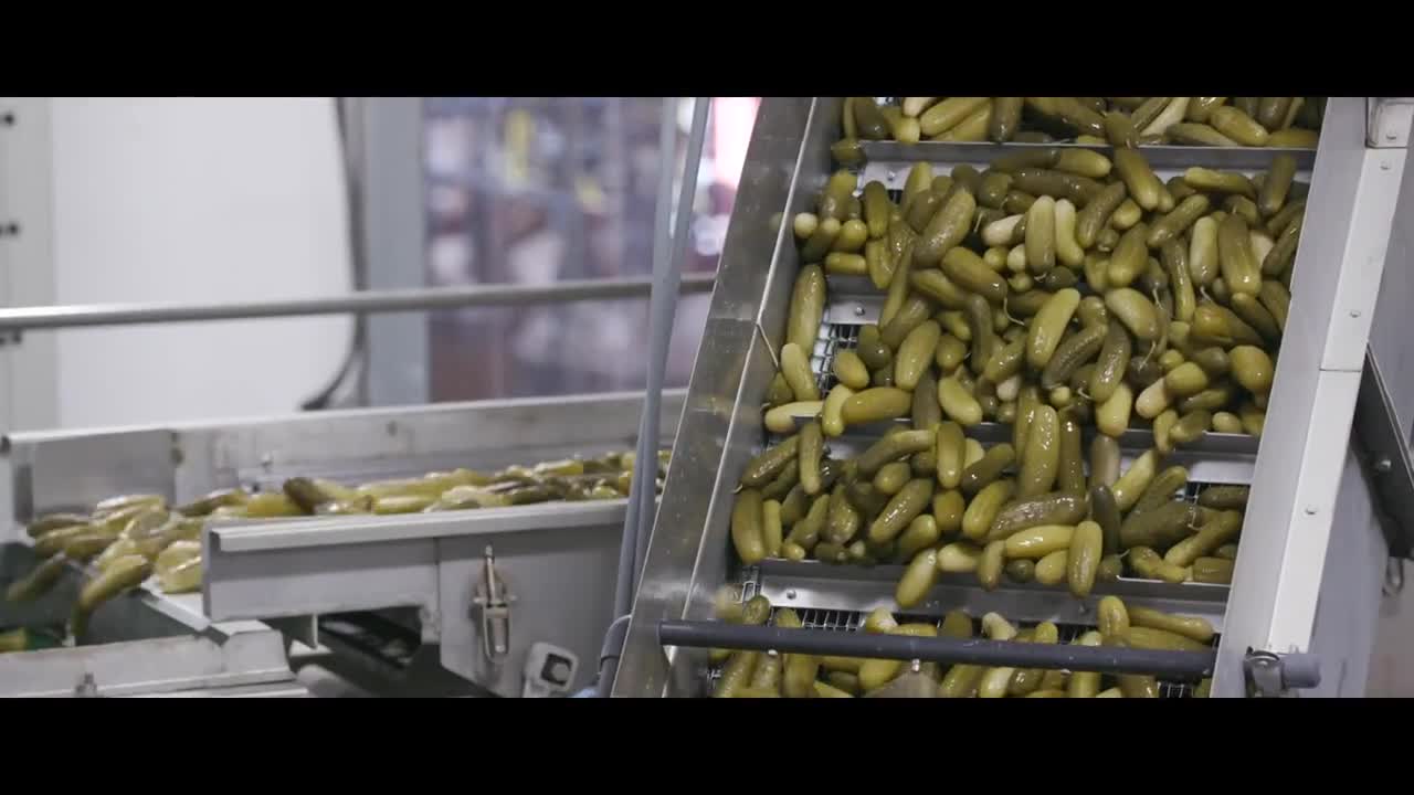 Hausbeck Pickles and Peppers Gains Real-Time Production Visibility and Traceability with Plex